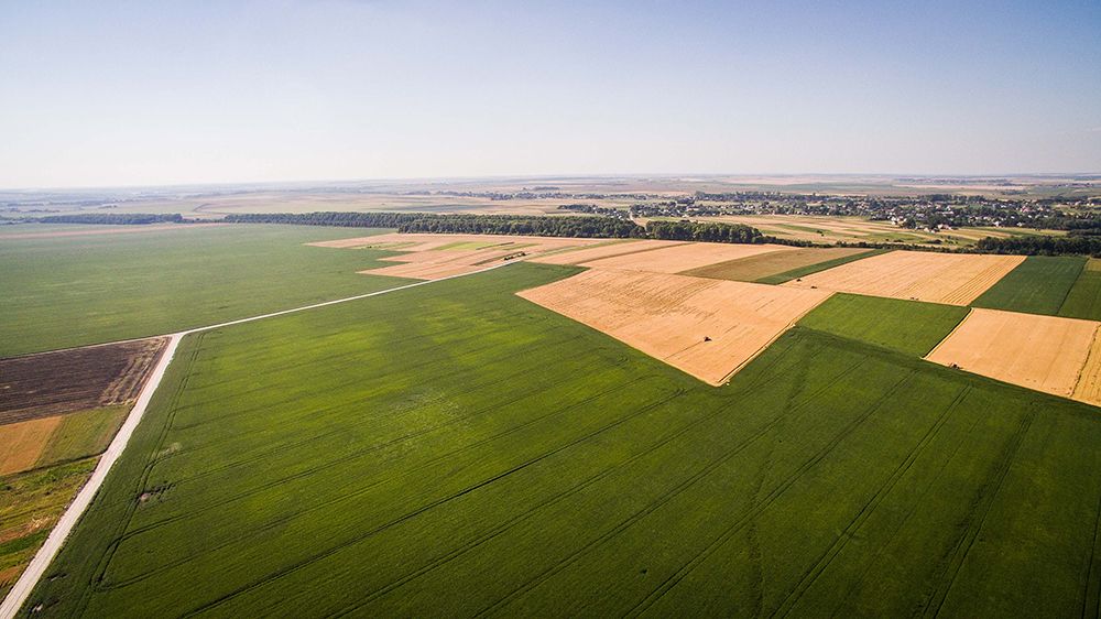 latifundist-com-ae-soya-2017-den-1-6-77553